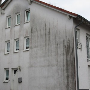 Algen an Hausfassade