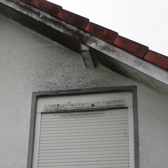 Schwarze Stellen über dem Fenster